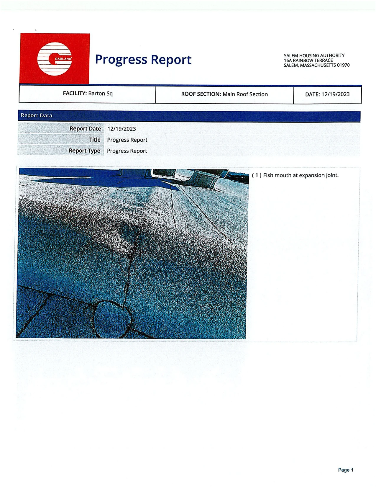 Original page 117. The field report identifies the roof section and the expansion-joint observation.